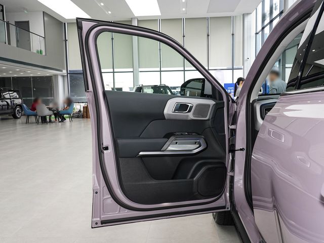 BYD Titanium 3 — карта передней двери